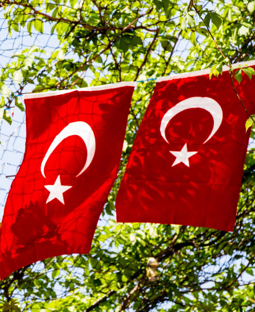 istock Turkish national flag  in view 1029255572
