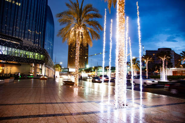 istock Dubai downtown at night with illuminated palm trees 1029255838