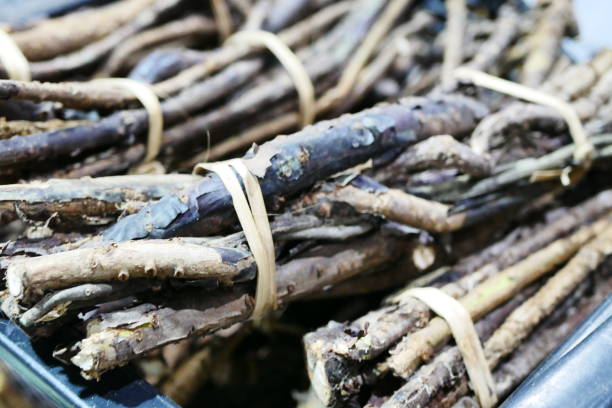 istock Licorice roots thailand herbs 1029268054