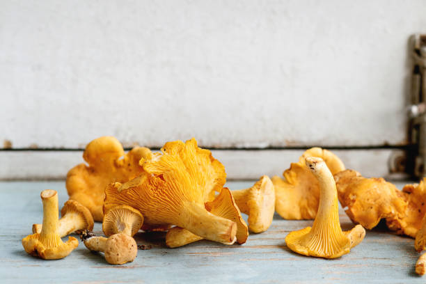istock Raw uncooked Chanterelles mushrooms 1029268252