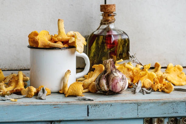 Can mushroom supplements boost the immune system? Can mushroom supplements boost the immune system?