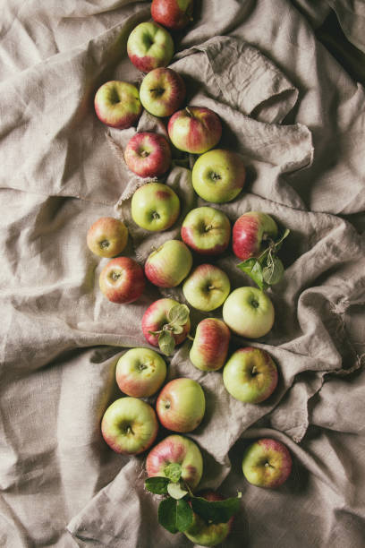 istock Ripe gardening apples 1029268632
