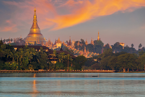 Shwedagon pagoda in Yangon city with sunset and bird, Myanmar