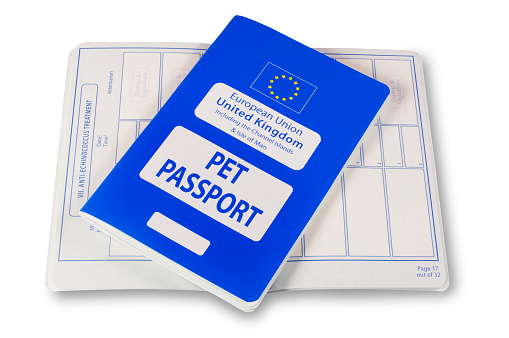 Studio shot of a European Pet Passport isolated on white.