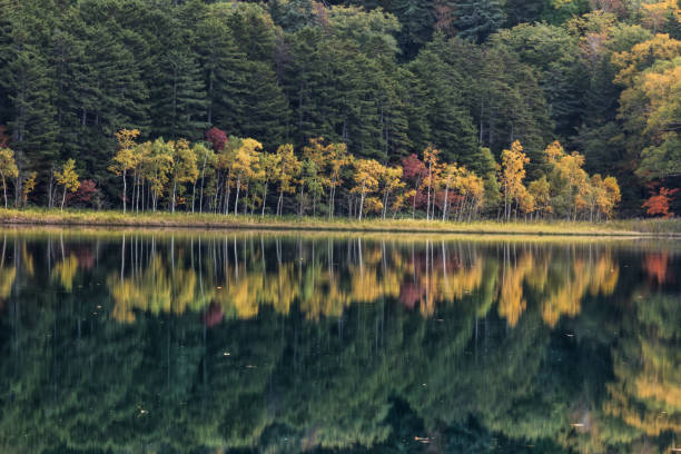 istock Lake Onneto in autumn 1029275800