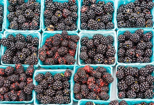 istock Blackberries at the market 1029275960