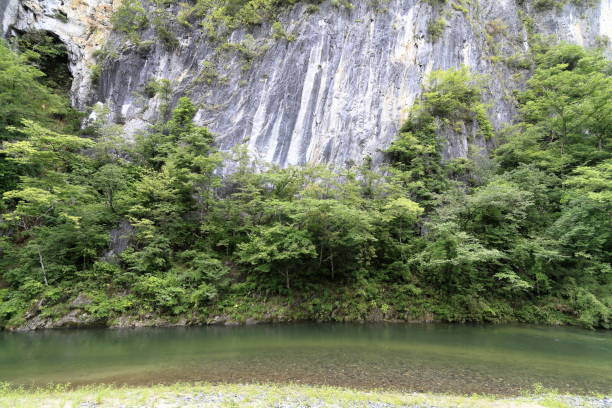 istock Geibi gorge in Ichinoseki, Iwate, Japan 1029284038