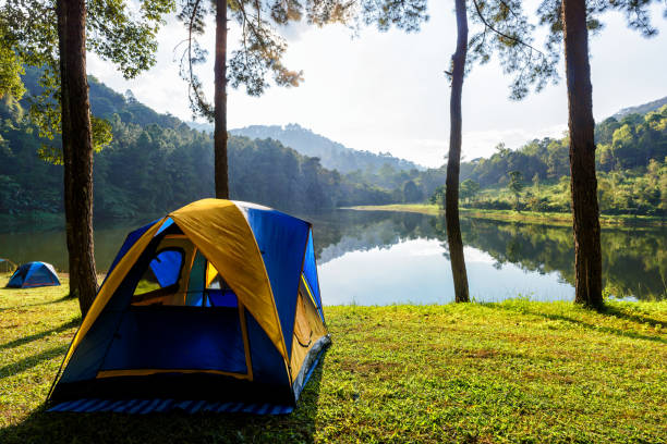 istock Tourist tent in forest camp 1029287010