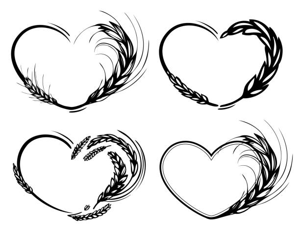 illustrazioni stock, clip art, cartoni animati e icone di tendenza di struttura a cuore di segale, orzo, malto e grano. amore biologico - barley grass illustrations