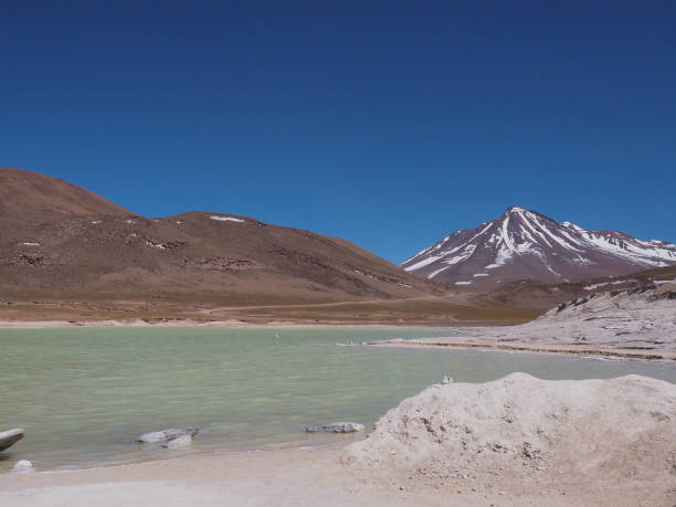 istock Piedras Rojas and Salar de Talar, Chile 1029301530