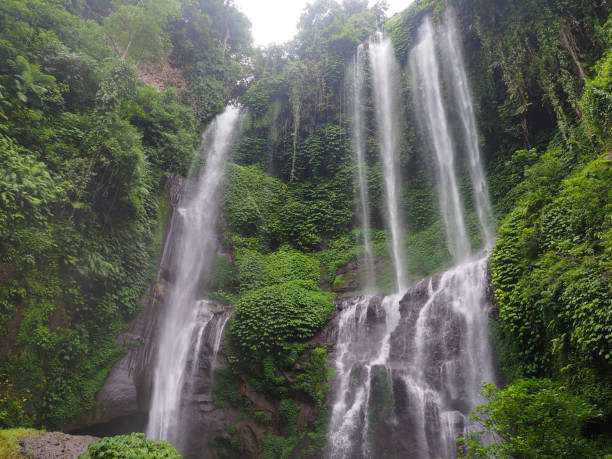 istock Sekumpul Waterfall in Bali, Indonesia 1029304678