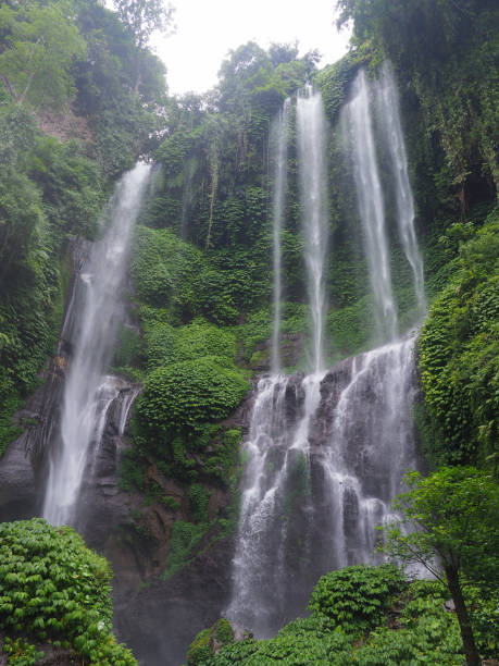 istock Sekumpul Waterfall in Bali, Indonesia 1029304686