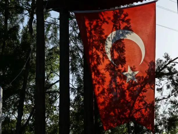 parkta, ağaçlar arasında türk bayrağı