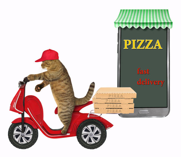 The cat delivers a few boxes of pizza ordered through the Internet. White background.