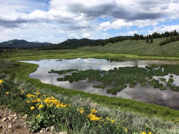 istock Christian Pond in the Tetons 1029317244