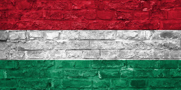 istock Flag of Hungary over an old brick wall background, surface 1029320684