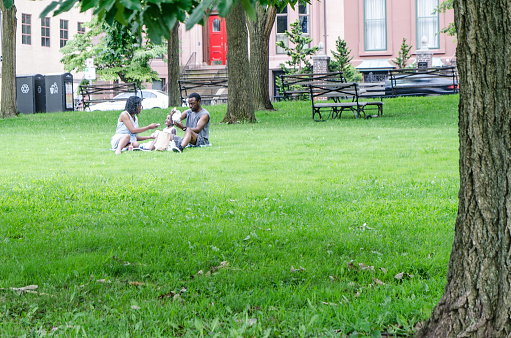 Family of African American having picnic in a park of Hartford during summer day