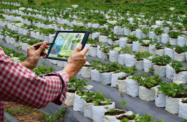 istock Farmer holding a tablet smart arm robot work agricultural machinery technology 1029333144