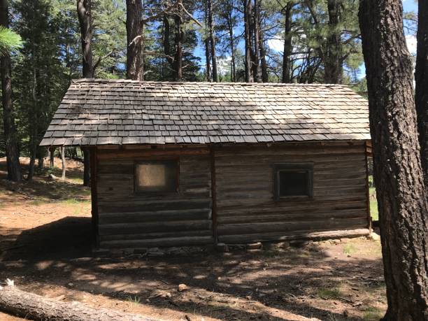 istock Abandoned cabin in the woods 1029351358