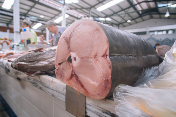 istock Fresh Tuna Fish displayed at the market in Setubal 1029357918