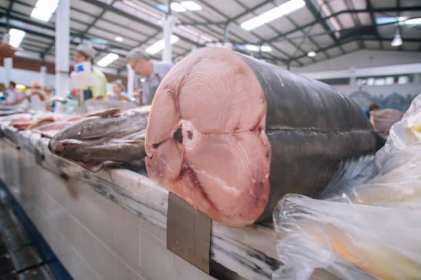 istock Fresh Tuna Fish displayed at the market in Setubal 1029357924