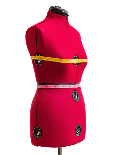 istock female form dummy with measured breast and waist 1029362144