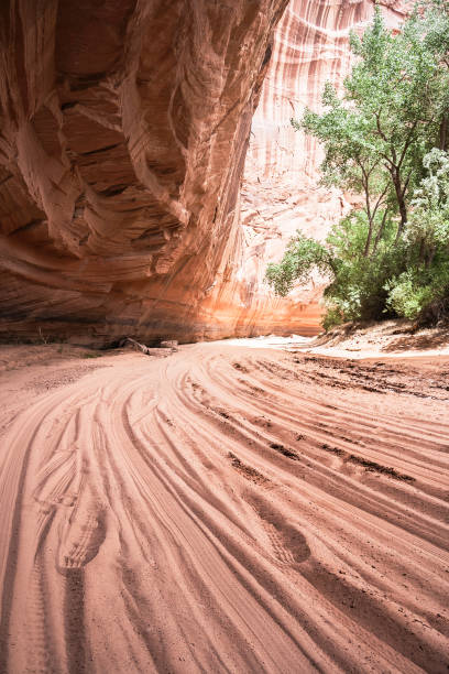 istock Sand track in Canyon de Chelly, AZ 1029372702