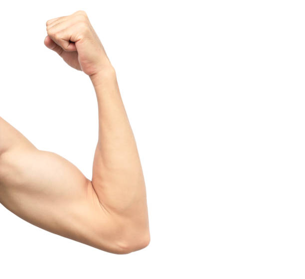 istock Asian men's healthy arm muscles on white background. 1029377744