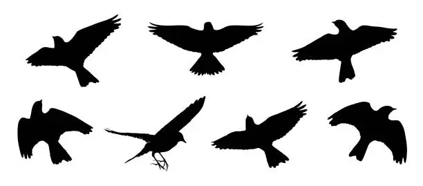 Vector illustration of Eurasian skylark in the flight silhouettes set