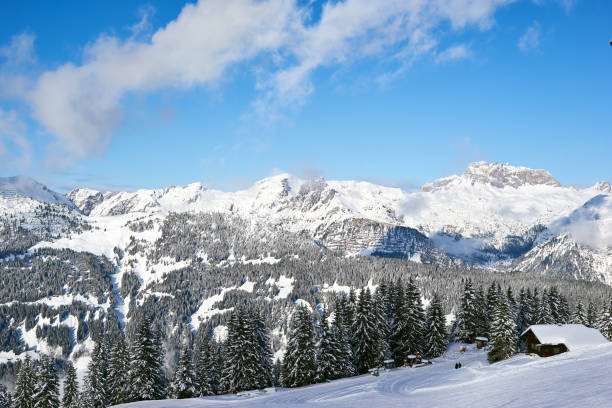 istock Silvretta Montafon in Winter 1029396650