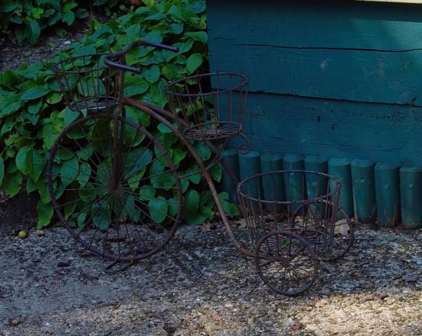 istock Metal Tricycle Plant Holder 1029397364