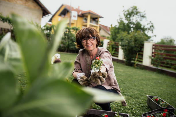 istock Woman planting flowers 1029400694