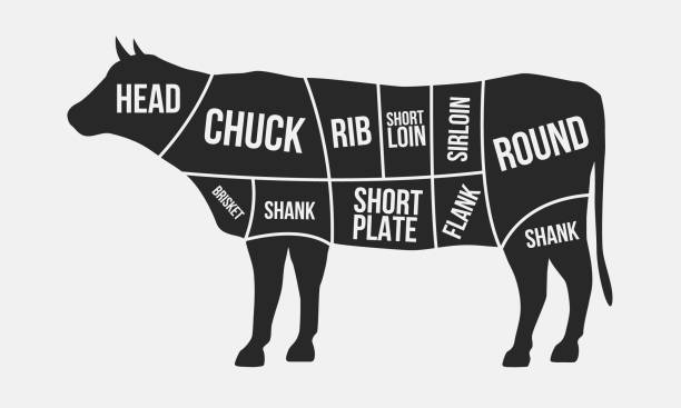 肉をカットします。牛肉のカット。白い背景に分離された牛のシルエット。肉屋のビンテージ ポスター。レトロな図。ベクトル図 - chuck steak点のイラスト素材／クリップアート素材／マンガ素材／アイコン素材