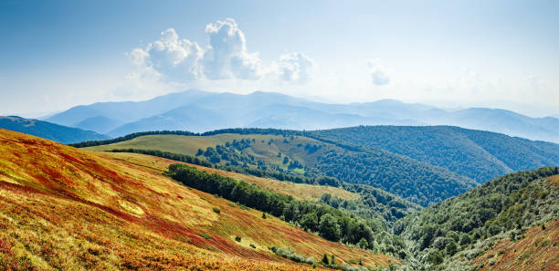 istock Path in high mountains at background of epic cloudy sky. Boundless expanse, hiking background, Natural beauty. Carpathian mountains, landscape photography. 1029406198