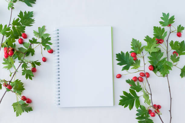 istock Mockup notebook and branch with red berries 1029413758
