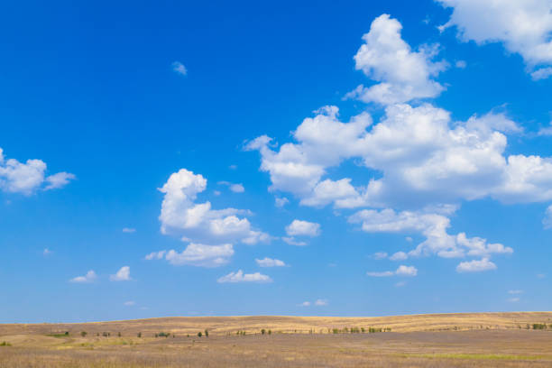 istock Rural landscape with fields and meadows after harvest 1029419548