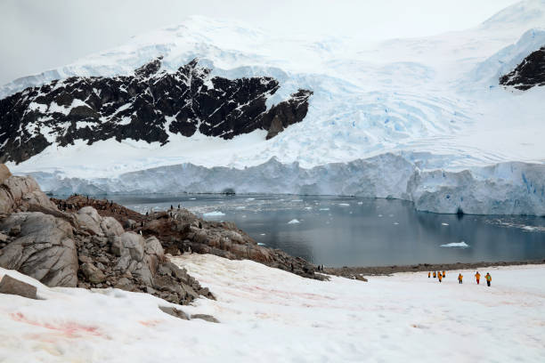 istock Landscape in Antarctica 1029419960