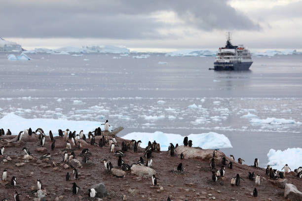istock Penguin Habitat in Antarctica 1029419976