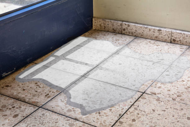 istock Flooded Floor From Water Leakage 1029427714