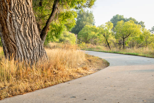 istock summer on Poudre River Trail 1029429610