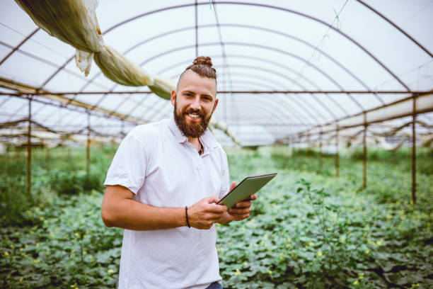 istock Worker In Greenhouse Smiling After Successful Annual Crops Result 1029431514