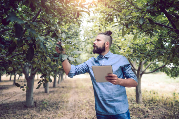 istock Serious Quality Inspector Not Satisfied With Apple Health 1029431590
