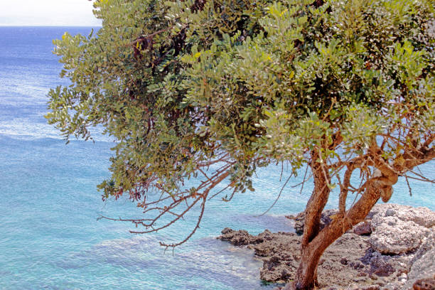 istock Sea and crete mountain 1029431838