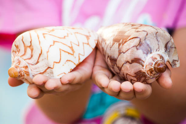 istock Seashell girl hands beach 1029446686