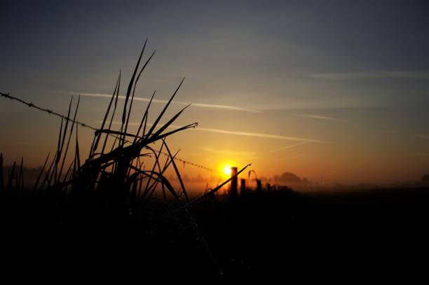 istock Mystic sunrise 1029451860