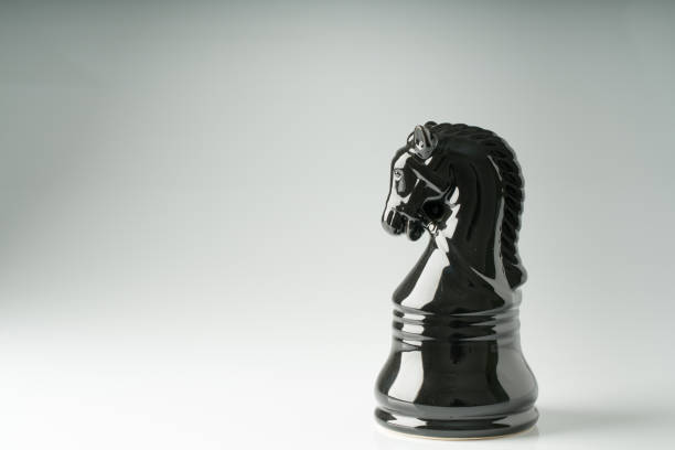 istock Chess business concept, leader teamwork & success 1029464090