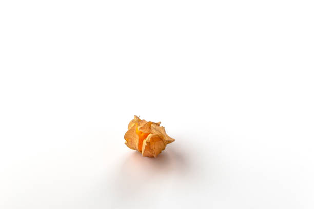 istock Physalis fruit Physalis peruviana isolated on a white background 1029467506