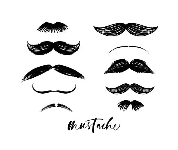 Vector illustration of Collection of mustaches.