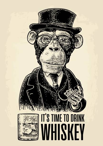 Monkey gentleman holding a watch and dressed hat, suit. Engraving Monkey gentleman holding antique pocket watch and dressed in a hat, suit, waistcoat. Time to Drink lettering. glass bourbon. Vintage vector engraving illustration for web, poster, invitation to party monkey illustrations stock illustrations