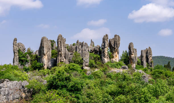 Shilin Stone Forest, Yunnan Province - China. The Stone Forest or Shilin is a notable set of limestone formations located in Shilin Yi Autonomous County.